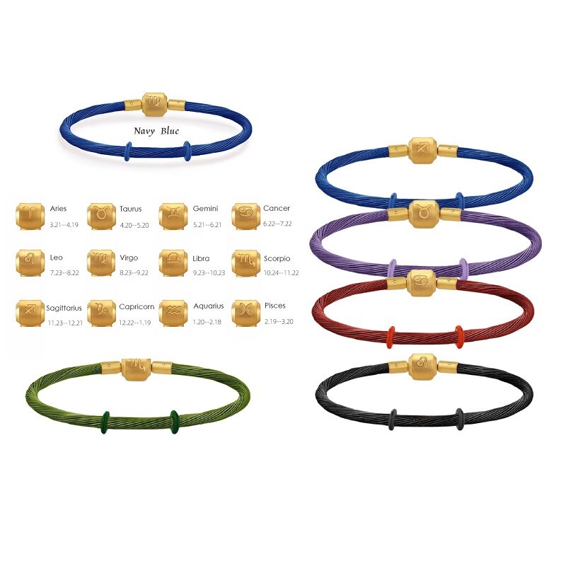 12 Constellation Twisted Steel Wire Couple Bracelet